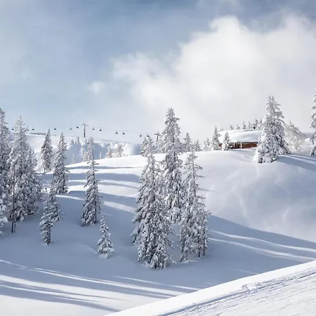 Niederseer Saalbach-Hinterglemm