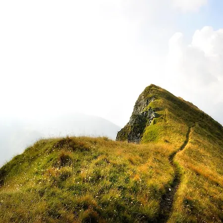 Niederseer * Saalbach-Hinterglemm