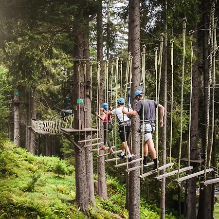 Niederseer * Saalbach-Hinterglemm