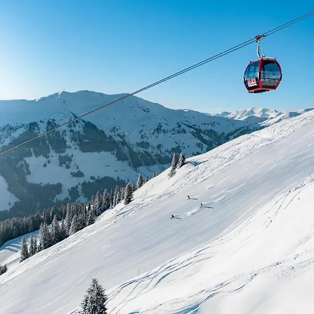 Apartamento Niederseer *