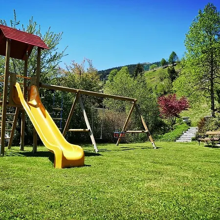 Apartamento Niederseer *